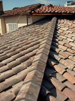 Roofs and Roofing